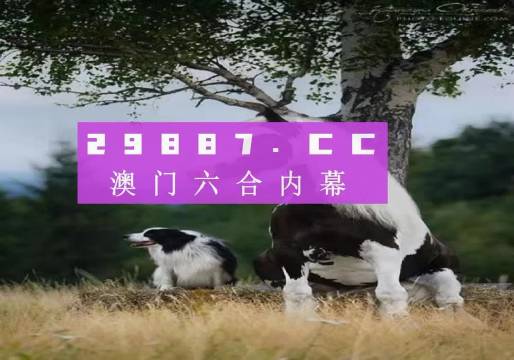 澳门内部正版免费资料使用方法,澳门内部正版免费资料的使用方法及其价值