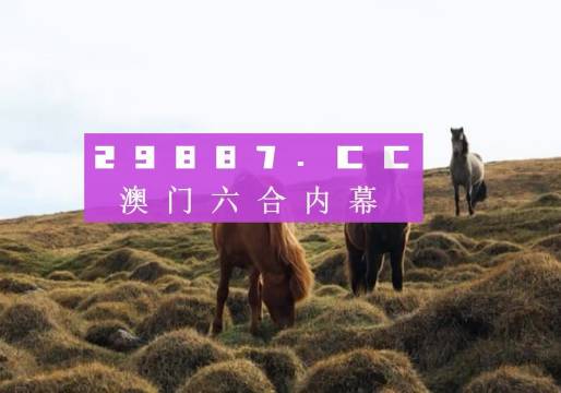 2024新澳门今晚开奖号码,探索未知的奥秘，新澳门今晚开奖号码展望（2024年）