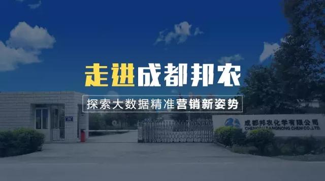 新奥门资料免费精准,新澳门资料免费精准，探索与解析