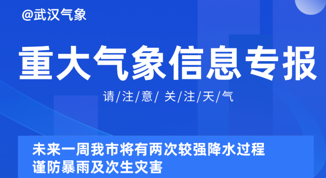 2025新奥精准正版资料,探索未来，2025新奥精准正版资料的深度解析