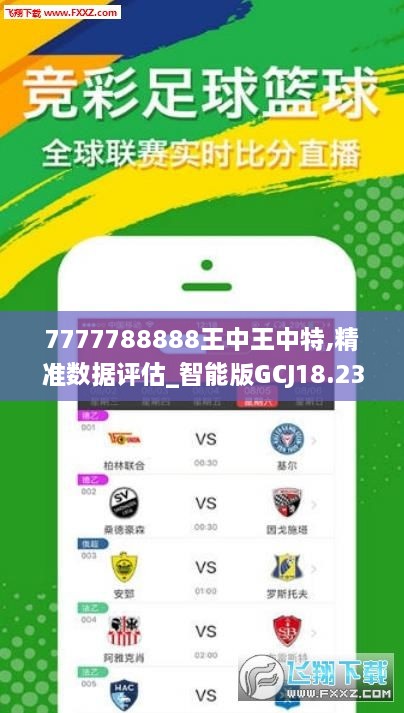 王中王493333WWW,王中王与数字的魅力，探索神秘的493333WWW